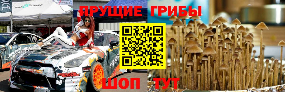 Галлюциногенные грибы Magic Shrooms Тюмень