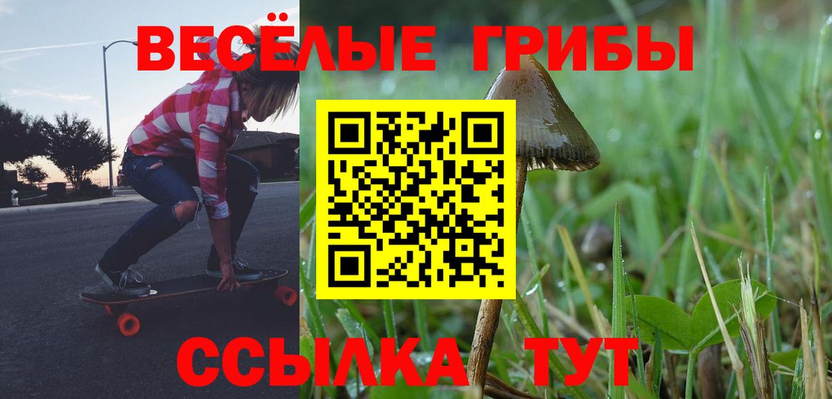 Галлюциногенные грибы прущие грибы  Вход с VPN  Тюмень 